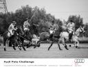 Action Shot 1 - Audi Polo Challenge