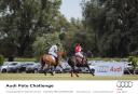 Action Shot 2 - Audi Polo Challenge